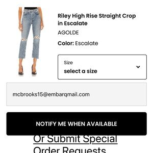 Agolde Riley High Rise Straight Crop